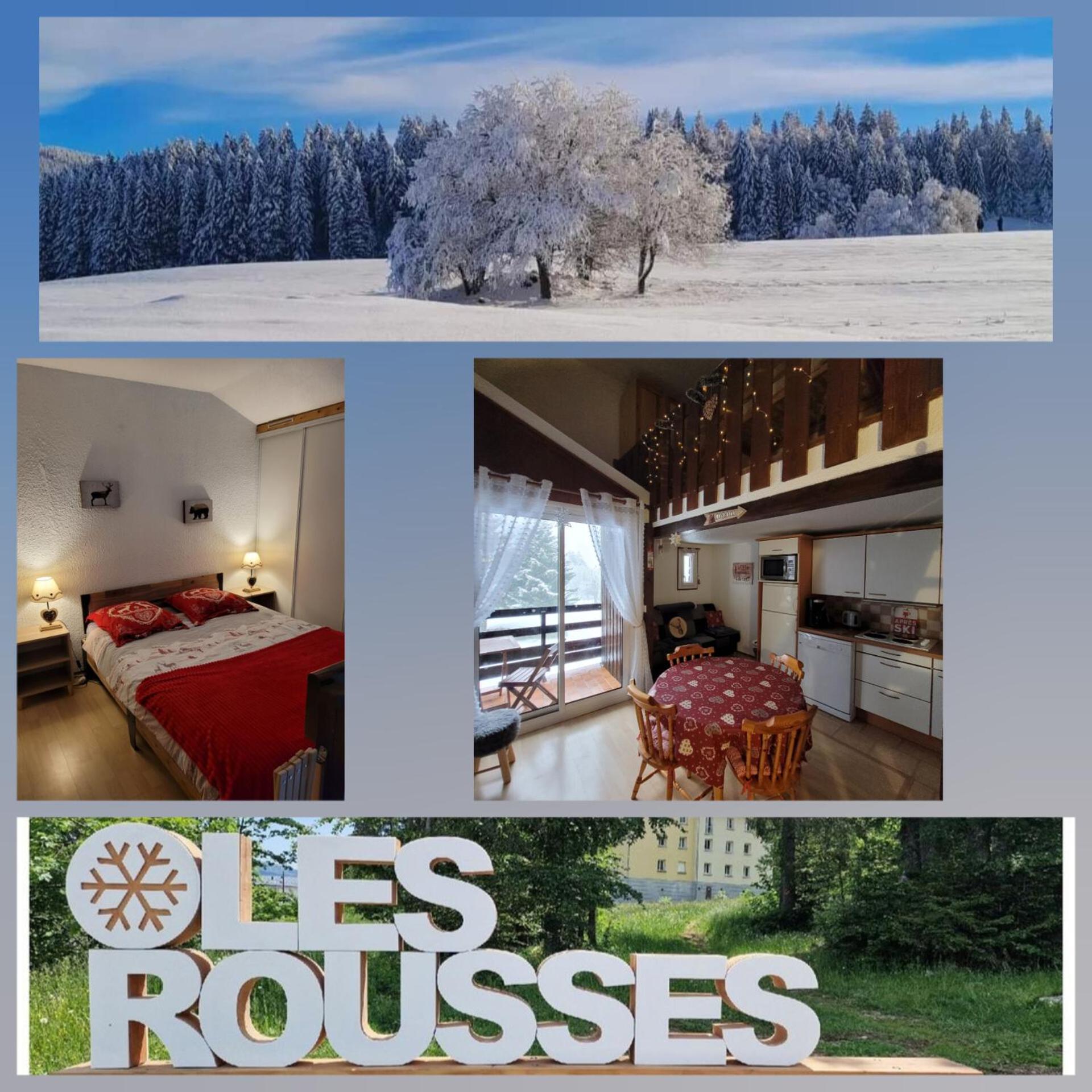 Le Duplex, Superbe Cocon Au Coeur Des Rousses, Tout Confort 5 Pers, Draps Inclus Les Rousses Bagian luar foto
